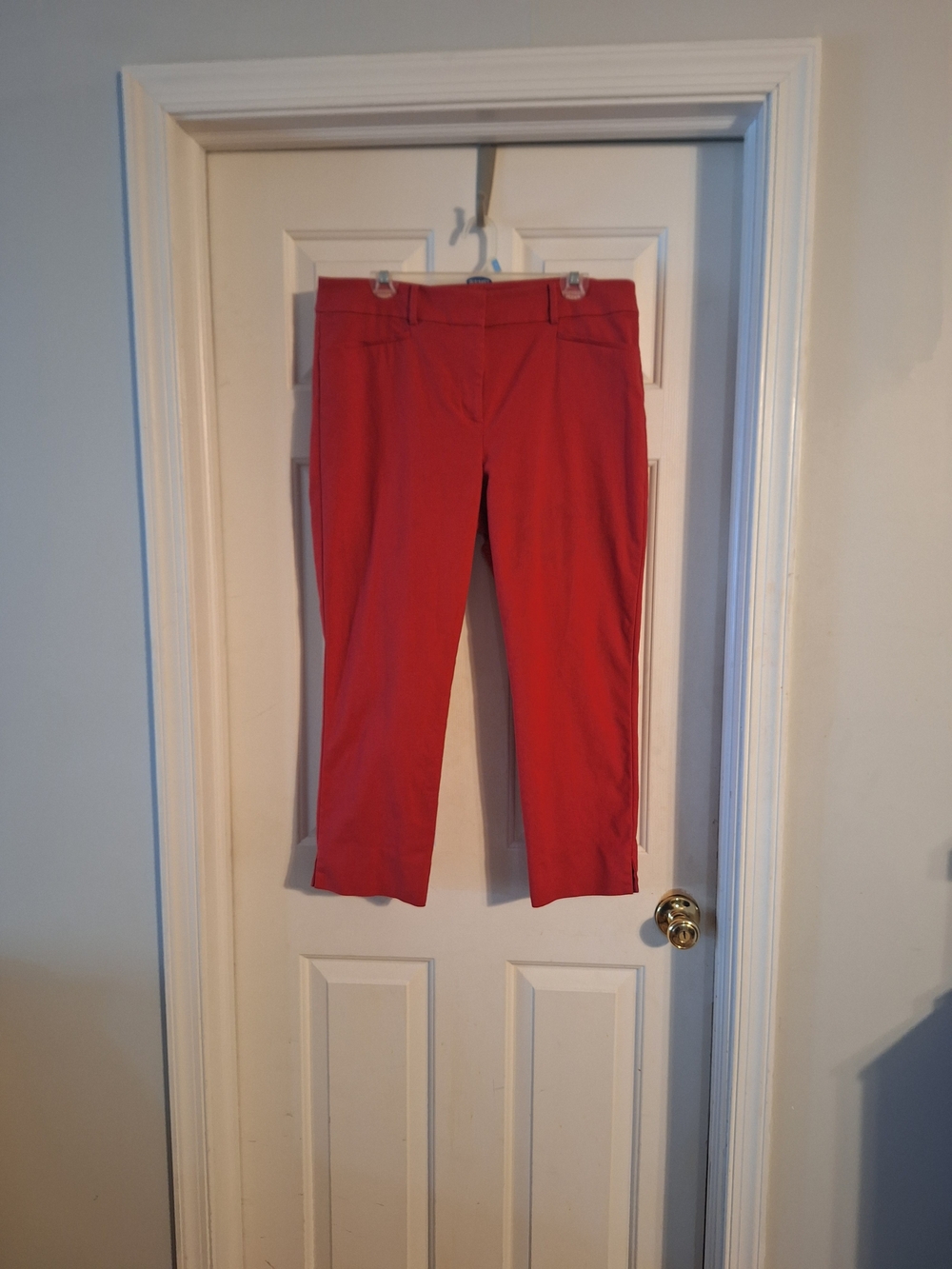 LOFT Curvy Red Women's Crops